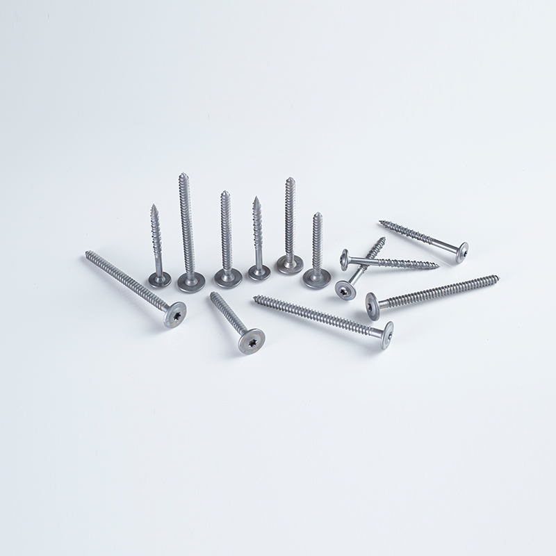 16-10x65-105 (B8) T40 Washer Head Torx Grass Rope Screw